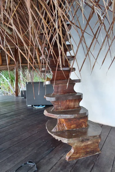 Tahta ve Pandanus parktaki bank