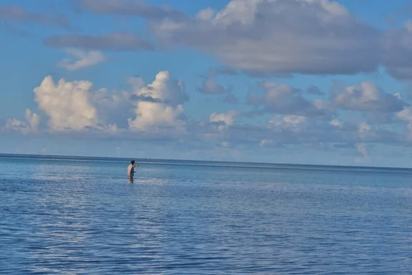 Güzel tropikal Tahiti sahilleri