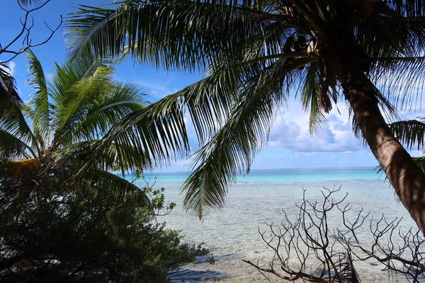 Beautiful Tropical Tahitian Beach Sea — ストック写真