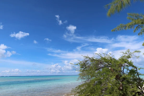 Beautiful View Tropical Tahitian Island — ストック写真