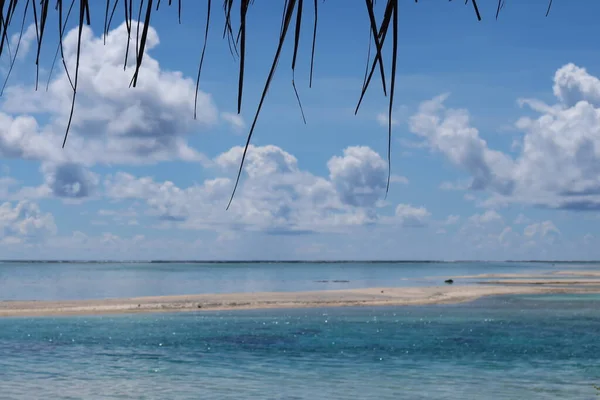 Tahiti adasının güzel manzarası 