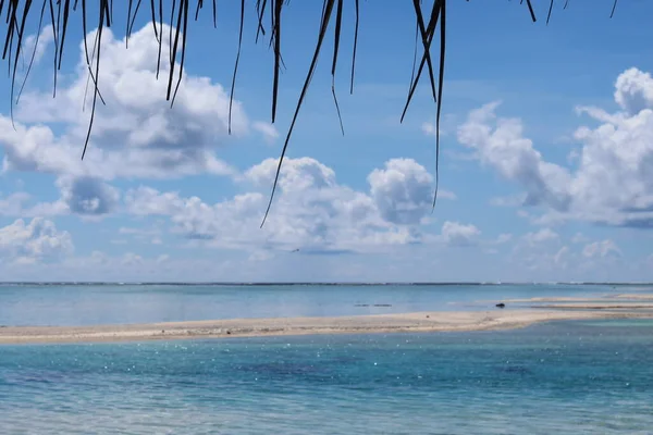 Beautiful View Tropical Tahitian Island — ストック写真