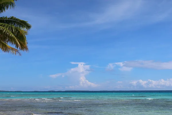 Beautiful Tropical Beach Tahitian Island Palm Trees Blue Sky — Fotografia de Stock