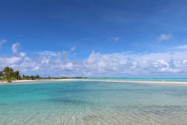 Beautiful Tropical Beach Tahitian Island Palm Trees Blue Sky — Stok fotoğraf