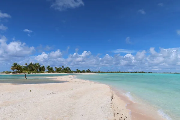 Bela Praia Tropical Ilha Tahitian Com Palmeiras Céu Azul — Fotografia de Stock