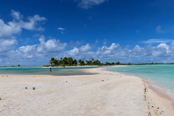 Beautiful Tropical Beach Tahitian Island Palm Trees Blue Sky —  Fotos de Stock
