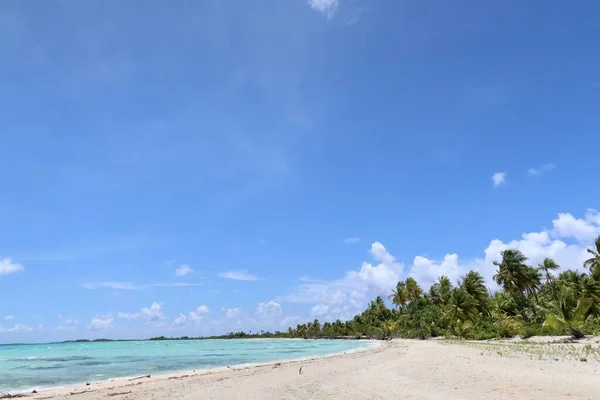 Beautiful Tropical Beach Tahitian Island Palm Trees Blue Sky — Zdjęcie stockowe