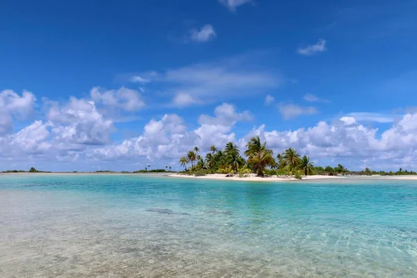 Beautiful Tropical Beach Tahitian Island Palm Trees Blue Sky — Fotografia de Stock