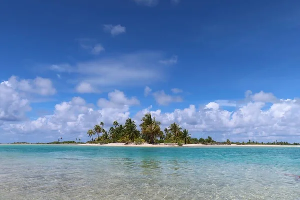 Beautiful Tropical Beach Tahitian Island Palm Trees Blue Sky — Stok fotoğraf