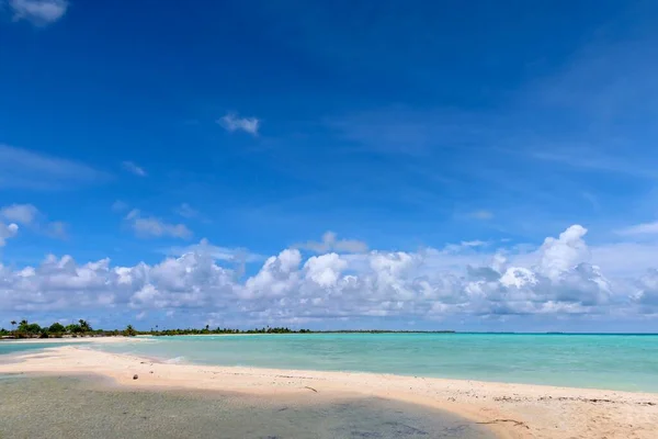 Beautiful Tropical Beach Tahitian Island Palm Trees Blue Sky — Zdjęcie stockowe