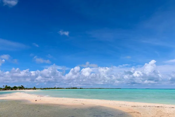 Beautiful Tropical Beach Tahitian Island Palm Trees Blue Sky — Stockfoto