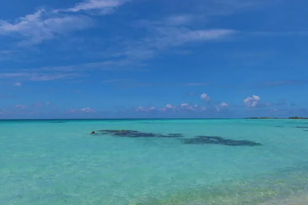 Beautiful Tropical Beach Tahitian Island Palm Trees Blue Sky — Foto de Stock