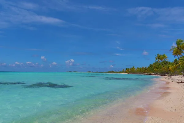 Bela Praia Tropical Com Céu Azul Uma Ilha Tahitian — Fotografia de Stock