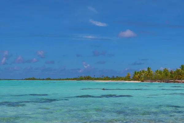 Bela Praia Tropical Com Céu Azul Uma Ilha Tahitian — Fotografia de Stock