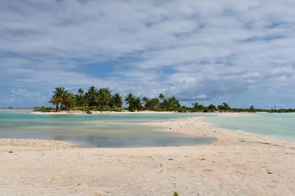 Beautiful Tropical Beach Tahitian Island Palm Trees Blue Sky — Photo