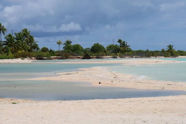 Tahiti adasındaki güzel tropikal kumsalda palmiye ağaçları ve mavi gökyüzü