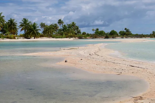 Beautiful Tropical Beach Tahitian Island Palm Trees Blue Sky — Stockfoto