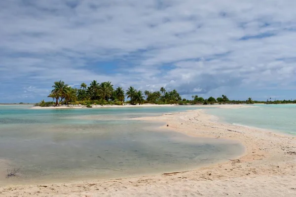 Beautiful Tropical Beach Tahitian Island Palm Trees Blue Sky — Photo