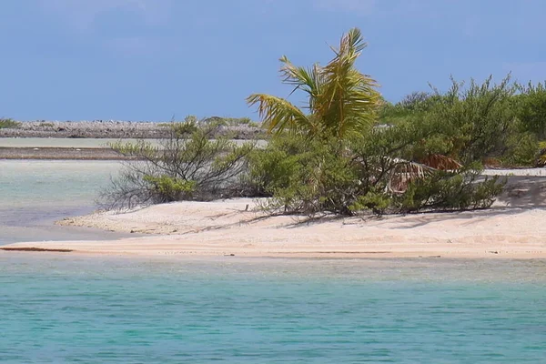 Praia Tropical Uma Ilha Tahitian Costa Arenosa — Fotografia de Stock