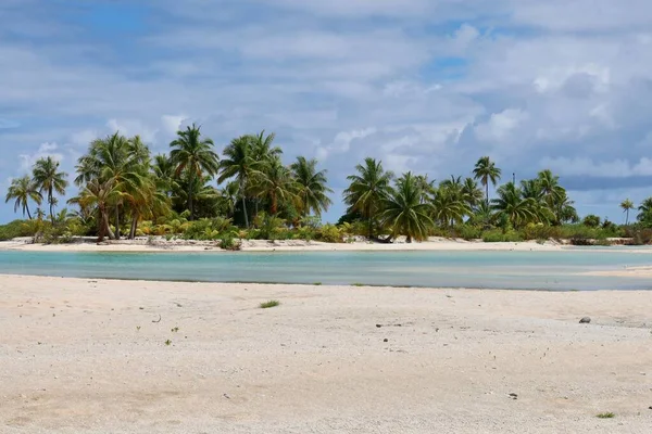 Beautiful Tropical Beach Tahitian Island Palm Trees Blue Sky — Foto Stock