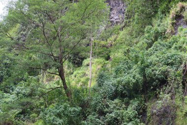 Doğanın güzel manzarası