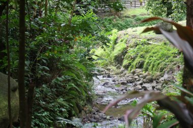 Dağların güzel manzarası