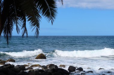 a beautiful tropical beach with waves and blue sea, the ocean and the sky