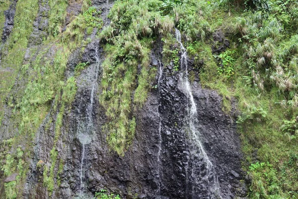 Waterfall Forest Nature Landscape Natural Background — ストック写真