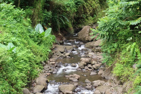 美しい山の川の流れ — ストック写真