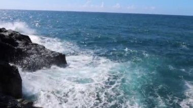 the waves on the coast with the sea in a windy day