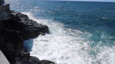 sea coast with waves and splashes in ocean