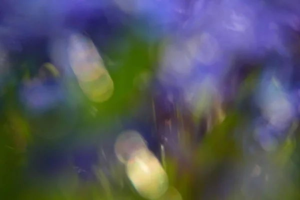 bokeh arka plan bulanık