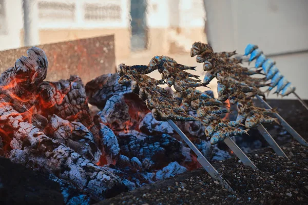 İspanya, Malaga 'da sardalya şişi pişirmek için közleri kapatın.