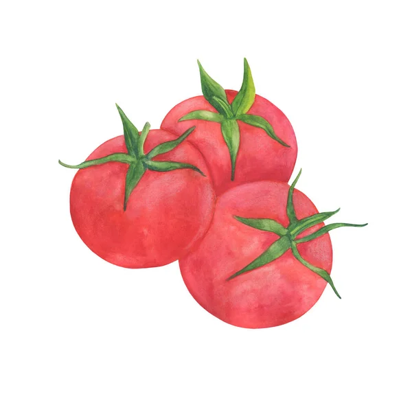 Desenho Aquarela Três Tomates Vermelhos — Fotografia de Stock