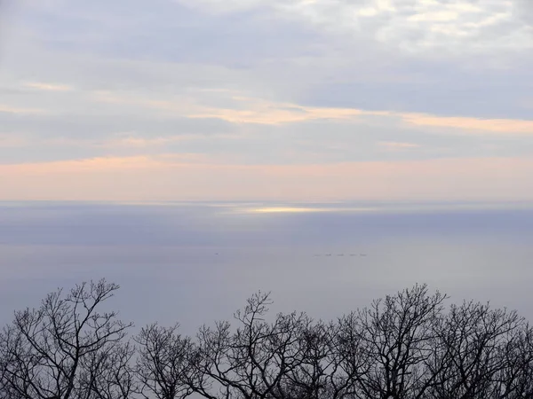 Kahle Äste Gegen Das Sonnenlicht Den Wolken Über Dem Meer — Stockfoto