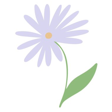 Yapraklı el çizimi yıldız çiçeği, beyaz arka planda mor, boho stilinde vektör çizimi.