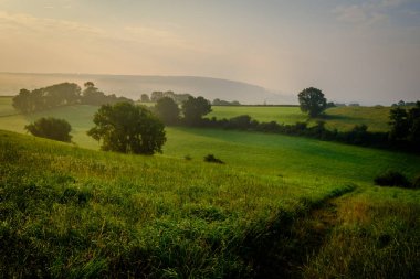 Tepeler ve ağaçlarla dolu tarlalarda yol
