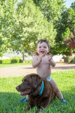small child playing with a dog in the garden