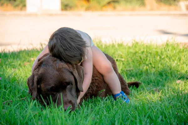 small child hugging a dog in the garden