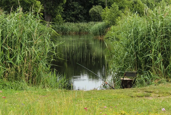 10.07.2022 Bialystok Poland.Cty ponds and time to relax.