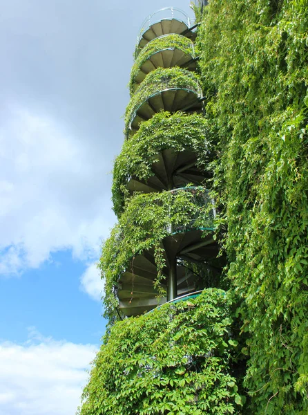 10.07.2022 Bialystok Poland.Lush greenery and stairs to the opera roof.