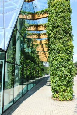 5.08.2022 Bialystok Poland.Mirror image of nature and columns.