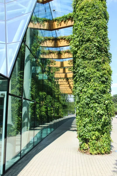 5.08.2022 Bialystok Poland.Mirror image of nature and columns.