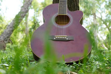 zemin resimde kırmızı gitar