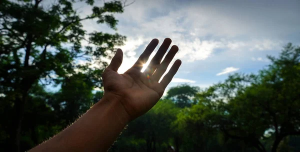 Hand Trying Touch Rays Sun — Stock Photo, Image