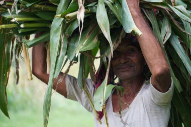 Omzunun yükünü taşıyan yaşlı bir adam