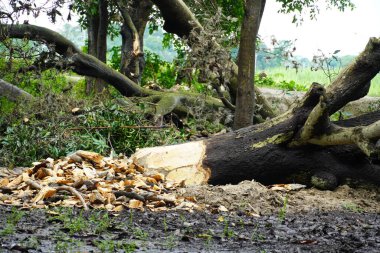 Kadın ya çok önemlidir ya da insan.