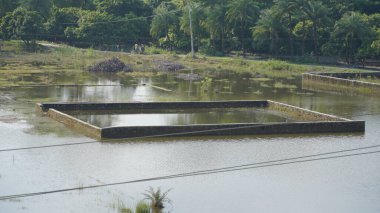 bihar ya da assam görüntüsünde sel