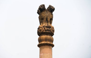 ashoka sütun sarnath görüntüleri