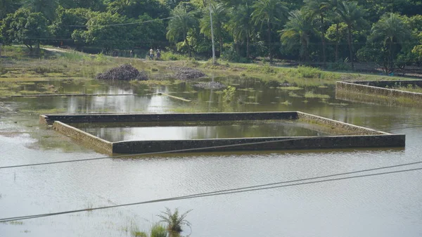 bihar ya da assam görüntüsünde sel